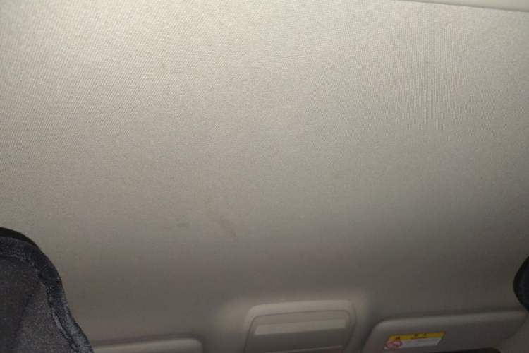 Used Mazda 3 Axela 2021 2.0L Automatic Zhiqing Edition Headliner