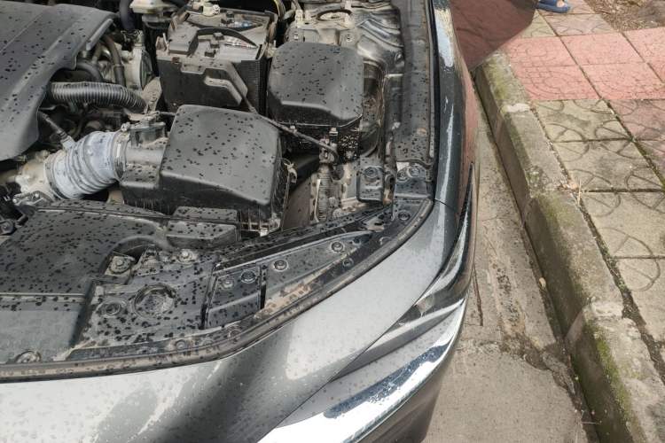 Used Mazda 3 Axela 2021 2.0L Automatic Zhiya Edition Engine Bay Left