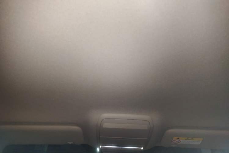 Used Mazda 3 Axela 2021 2.0L Automatic Zhiqing Edition Headliner