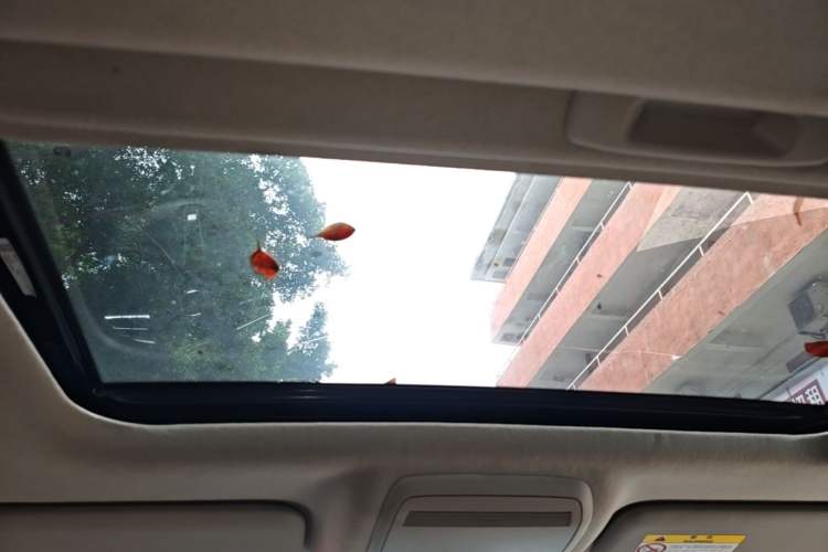 Used Mazda 3 Axela 2021 2.0L Automatic Zhiya Edition Headliner