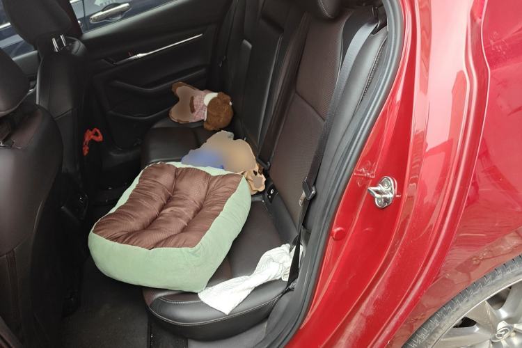 Used Mazda 3 Axela 2021 2.0L Automatic Zhiya Edition Left Rear Seat