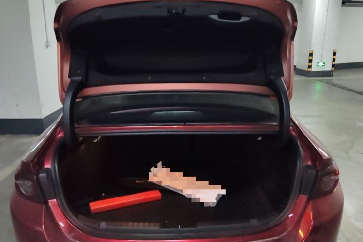 Used Mazda 3 Axela 2021 2.0L Automatic Zhiya Edition Trunk