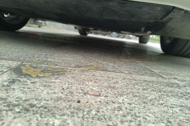 Used Mazda 3 Axela 2021 2.0L Automatic Zhiya Edition Chassis Front