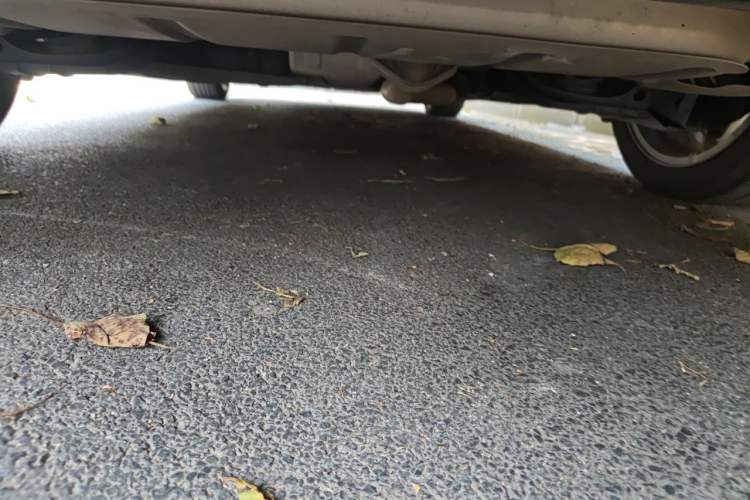 Used Mazda 3 Axela 2022 2.0L Automatic Zhiya Edition Chassis Rear
