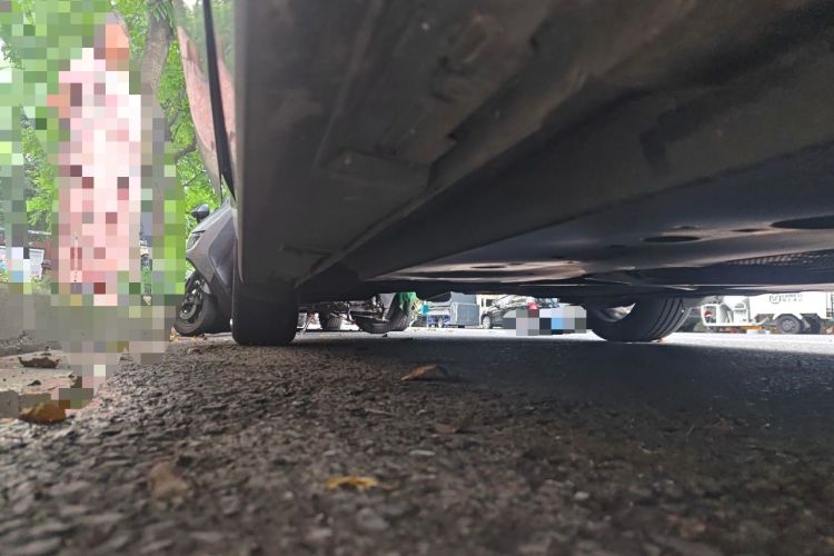 Used Mazda 3 Axela 2023 2.0L Automatic ZhiZhen Edition Chassis Front Right