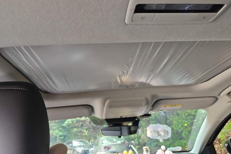 Used Mazda 3 Axela 2023 2.0L Automatic ZhiZhen Edition Headliner