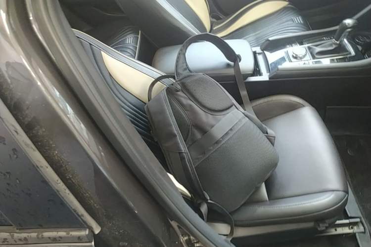 Used Mazda 3 Axela 2023 2.0L Automatic ZhiXuan Edition Right Front Seat