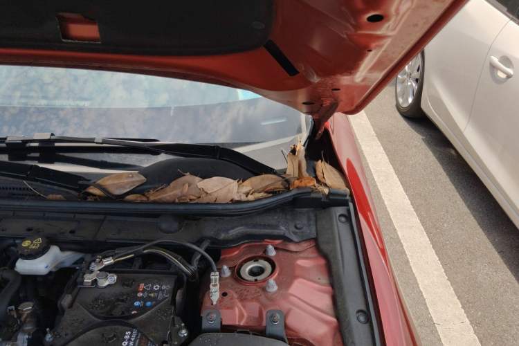 Used Mazda 3 Axela 2023 2.0L Automatic Zhiya Edition Engine Bay Left
