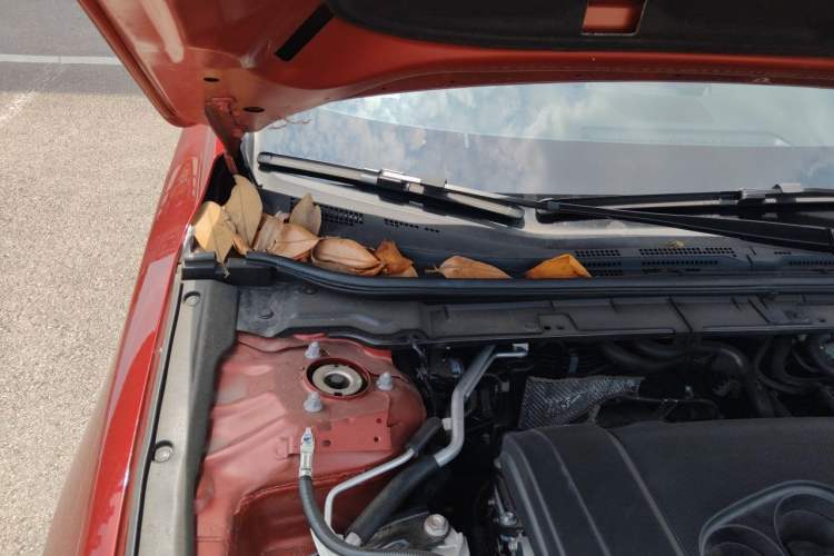 Used Mazda 3 Axela 2023 2.0L Automatic Zhiya Edition Engine Bay Right