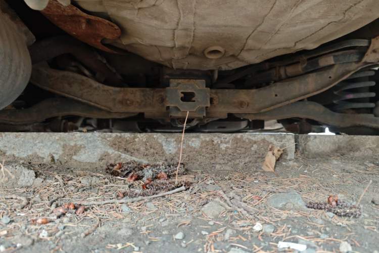 Used Mazda 5 2008 2.0 Manual Comfort Version Chassis Rear