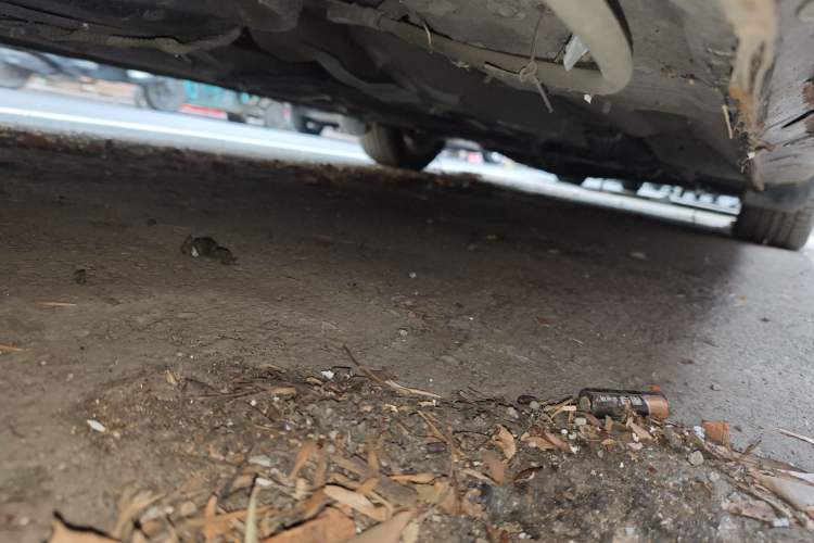 Used Mazda 5 2008 2.0 Manual Comfort Version Chassis Rear Right