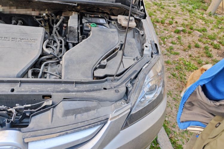 Used Mazda 5 2008 2.0 Automatic Luxury Edition Engine Bay Left