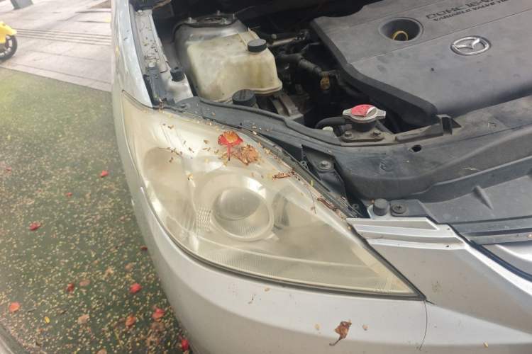 Used Mazda 5 2008 2.0 Automatic Comfort Edition Right Front Headlight