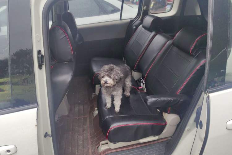 Used Mazda 5 2008 2.0 Manual Comfort Version Left Rear Seat