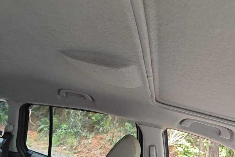 Used Mazda 5 2013 2.0L Automatic Luxury Edition Headliner