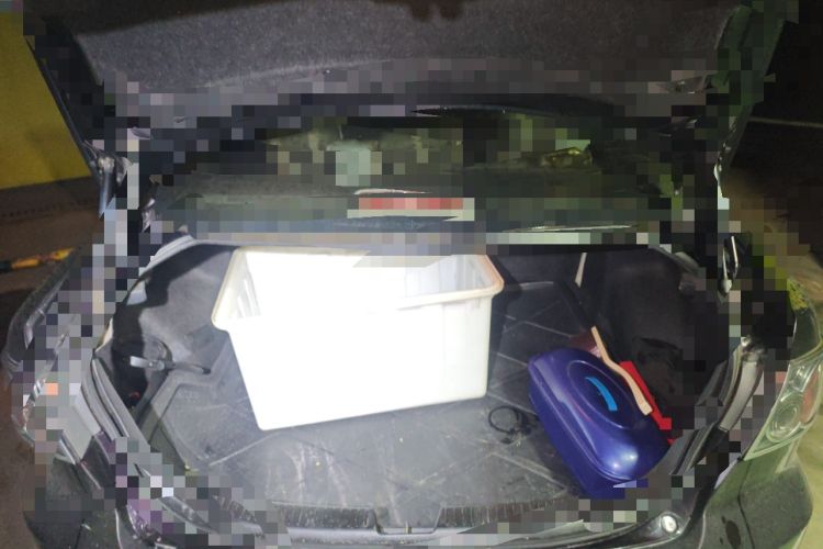 Used Mazda 6 2008 2.0L Automatic Fashion Edition Trunk