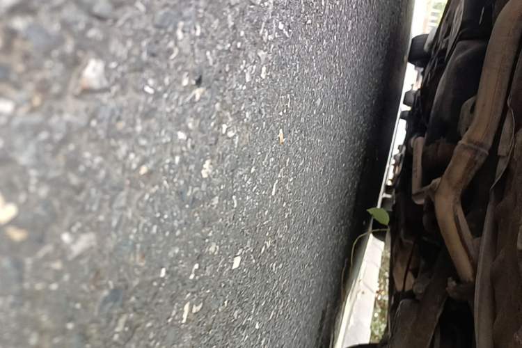 Used Mazda 6 2011 2.0L Automatic Luxury Version Chassis Rear