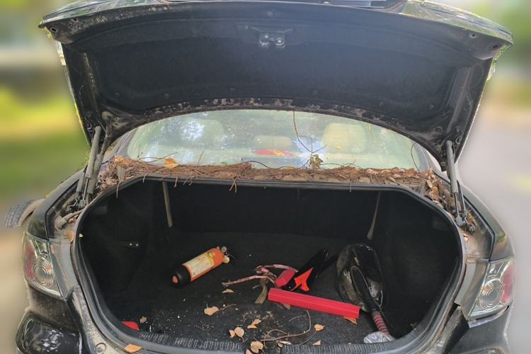 Used Mazda 6 2011 2.0L Automatic Fashion Edition Trunk