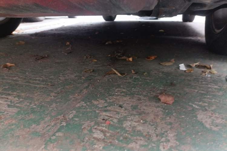 Used Mazda 6 2011 2.0L Automatic Elite Edition Chassis Front