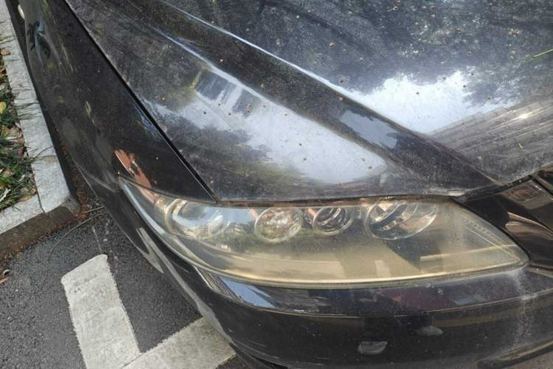 Used Mazda 6 2012 2.0L Automatic Fashion Edition Right Front Headlight