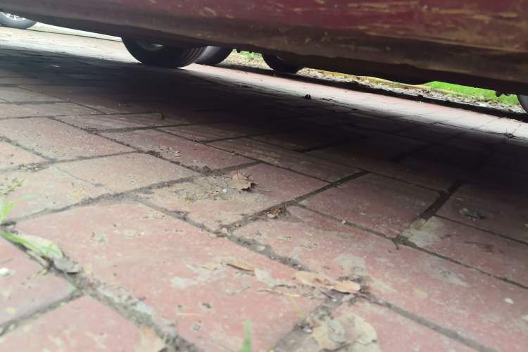Used Mazda 6 2013 2.0L Automatic Fashion Edition Chassis Front Right