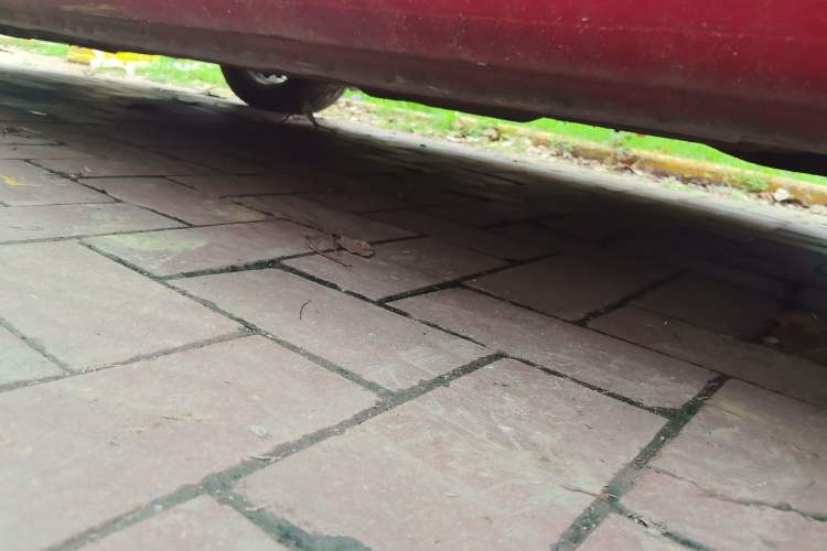 Used Mazda 6 2013 2.0L Automatic Fashion Edition Chassis Rear Left