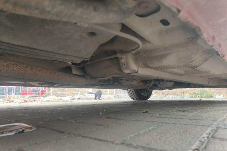 Used Mazda 6 2013 2.0L Automatic Fashion Edition Chassis Rear Right