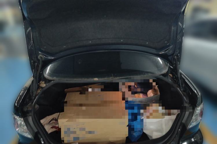 Used Mazda 6 2015 2.0L Automatic Fashion Edition Trunk