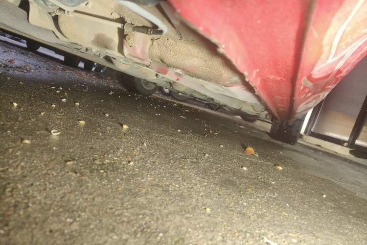 Used Mazda 6 2015 2.0L Automatic Classic Version Chassis Rear Right