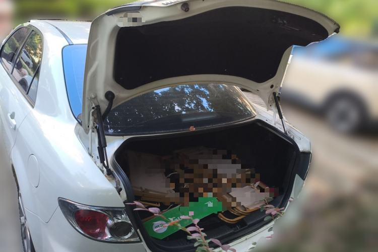 Used Mazda 6 2015 2.0L Automatic Fashion Edition Trunk