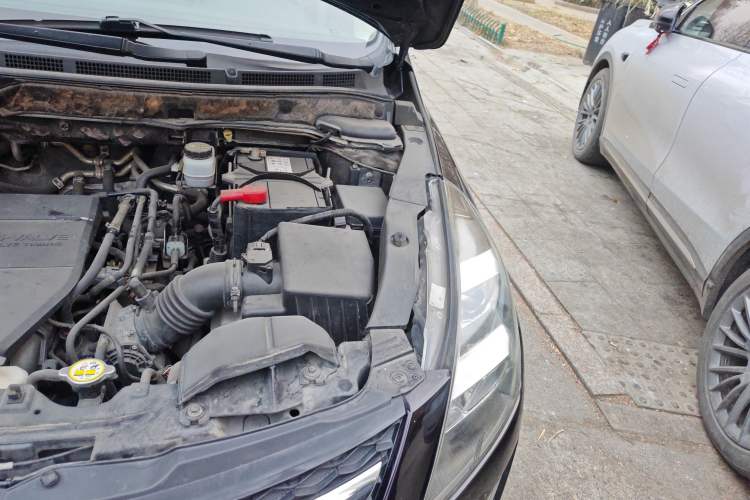 Used Mazda 8 2013 2.5L Deluxe Edition Engine Bay Left