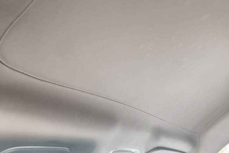 Used McLaren GT 2019 4.0T Standard Edition Headliner