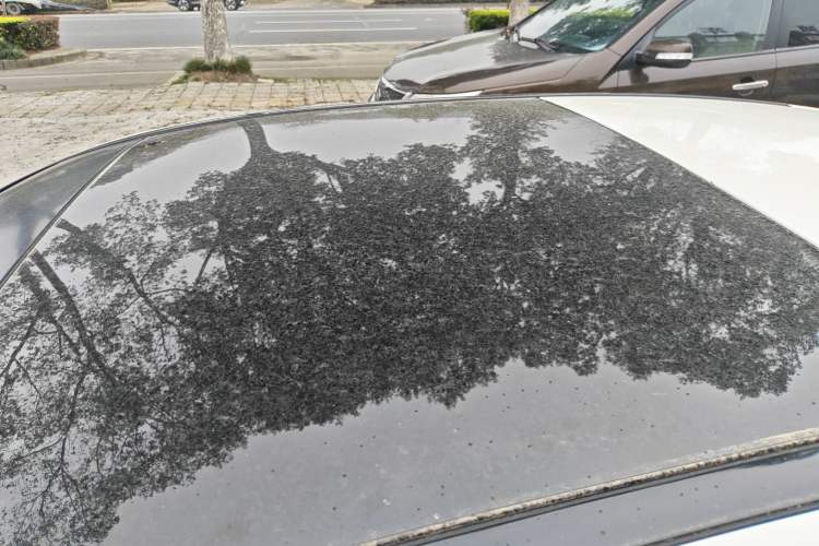 Used Mercedes-Benz A-Class 2015 A 180 Roof