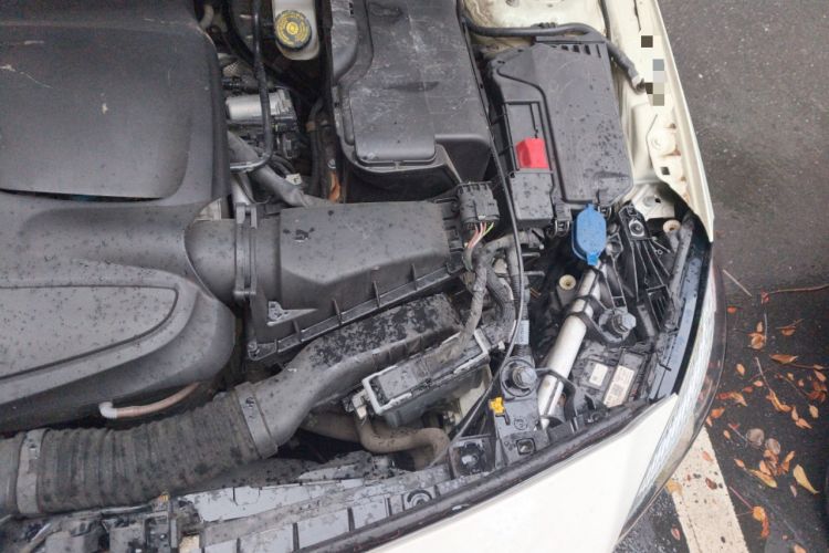 Used Mercedes-Benz A-Class 2018 A 200 Dynamic Edition Engine Bay Left