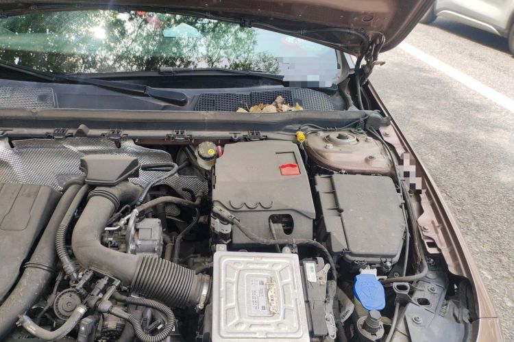 Used Mercedes-Benz A-Class 2019 Restyled A 200 L Sport Sedan Engine Bay Left