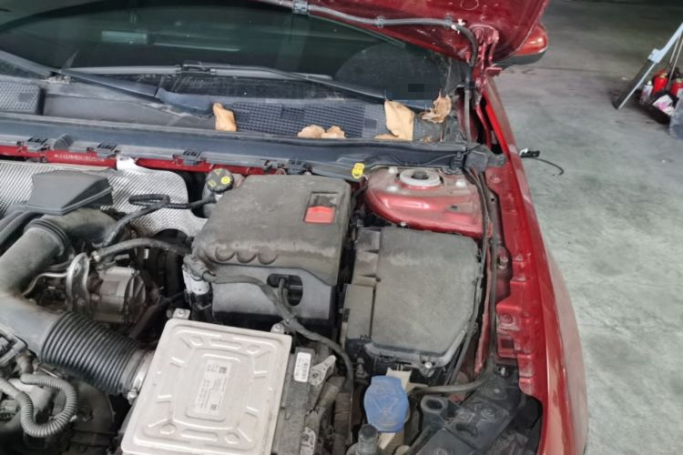 Used Mercedes-Benz A-Class 2019 A 200 L Sport Sedan Engine Bay Left