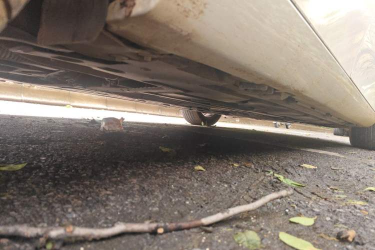 Used Mercedes-Benz A-Class 2019 A 200 L Chassis Rear Right