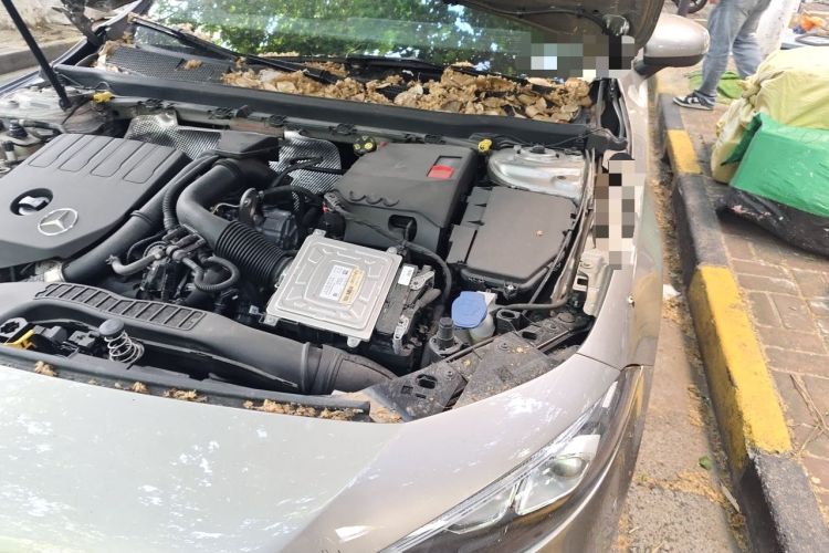 Used Mercedes-Benz A-Class 2020 A 200 L Sport Sedan Engine Bay Left