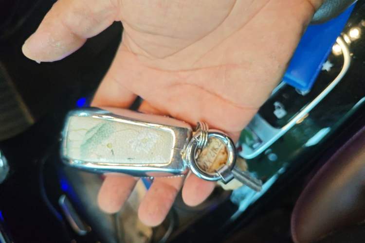 Used Mercedes-Benz A-Class 2020 A 200 L Sport Sedan Vehicle Key