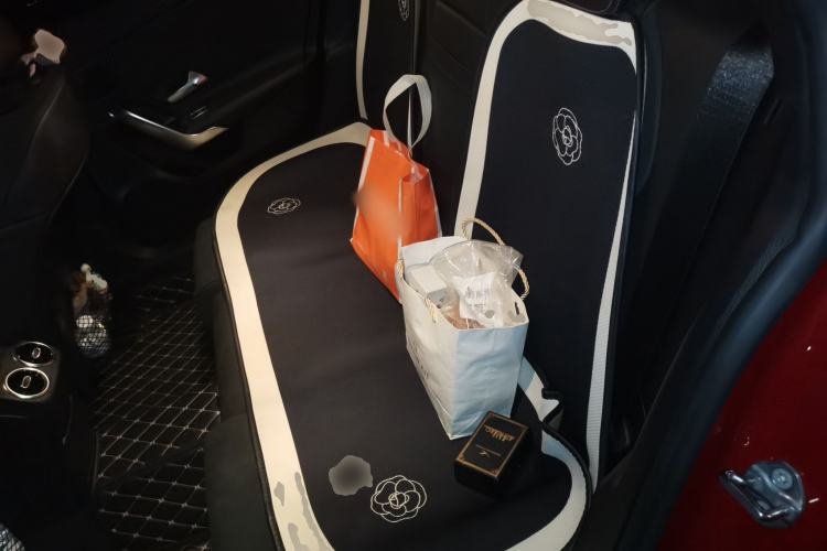 Used Mercedes-Benz A-Class 2020 A 180 L Sport Sedan Left Rear Seat