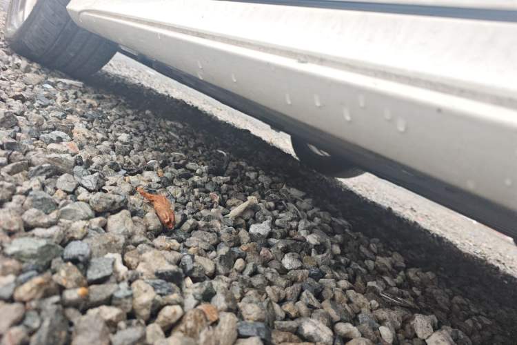 Used Mercedes-Benz A-Class 2020 A 200 L Sport Sedan Chassis Front Left