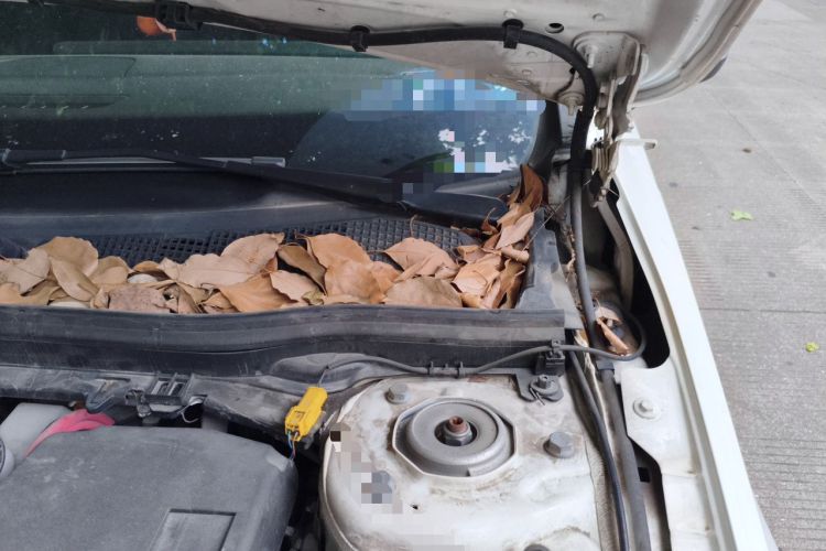 Used Mercedes-Benz A-Class 2020 Restyled A 200 L Sport Sedan Fashion Version Engine Bay Left