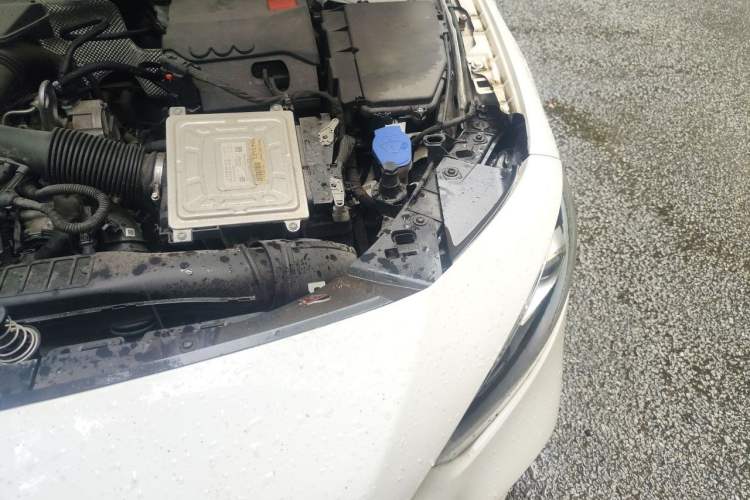 Used Mercedes-Benz A-Class 2020 Restyled A 200 L Sport Sedan Dynamic Version Engine Bay Left