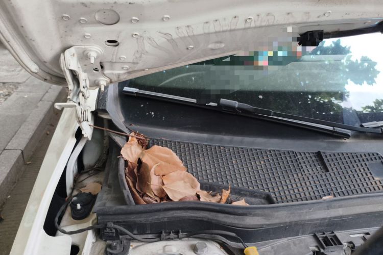 Used Mercedes-Benz A-Class 2020 Restyled A 200 L Sport Sedan Fashion Version Engine Bay Right