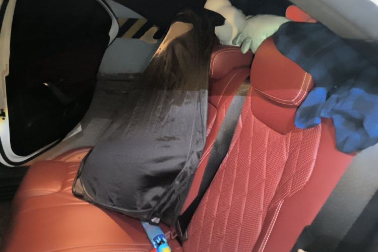 Used Mercedes-Benz A-Class 2020 A 200 L Sport Sedan Left Rear Seat