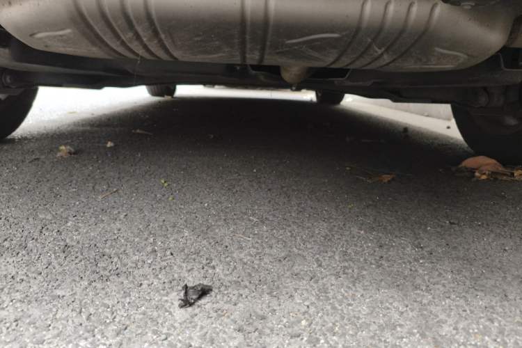 Used Mercedes-Benz A-Class 2021 A 180 L Chassis Rear