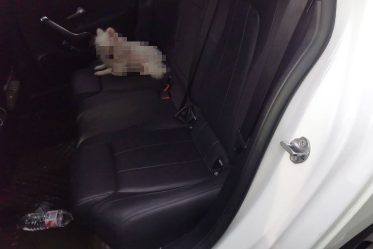 Used Mercedes-Benz A-Class 2021 A 200 L Sport Sedan Dynamic Model Left Rear Seat