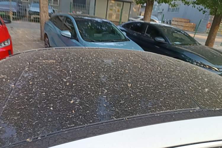 Used Mercedes-Benz A-Class 2021 A 200 L Sport Sedan Dynamic Model Roof