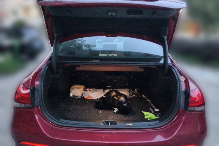 Used Mercedes-Benz A-Class 2022 Restyled A 180 L Sport Sedan Trunk
