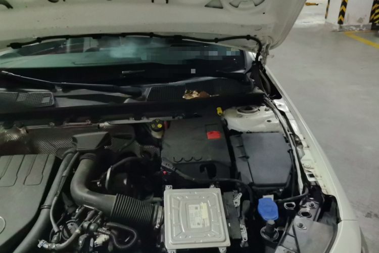 Used Mercedes-Benz A-Class 2022 Restyled A 200 L Sport Sedan Fashion Version Engine Bay Left